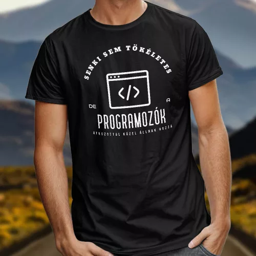 Póló_programozóknak__Ajándék_programozóknak_