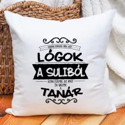 Ajándék_pedagógusnak_Párna_tanároknak_