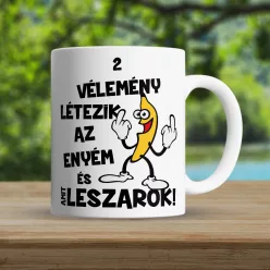 Vicces_ajándék_Két_vélemény_létezik_bögre_