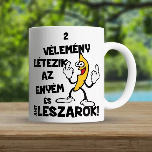 Vicces_ajándék_Két_vélemény_létezik_bögre_