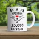Macskás_ajándék_Legjobb_barátom_bögre_