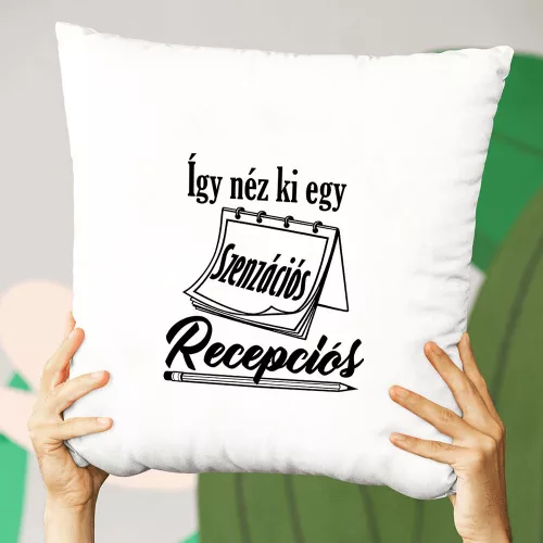 Szakmás_ajándék_Szenzációs_recepciós_párna_
