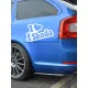 Autós_matrica_Matrica_I_Love_My_Skoda__Webshop