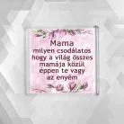 Ajándékcsomag_mamáknak_Legjobb_nagymama_fémdoboz_