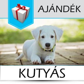 Kutyás ajándékok